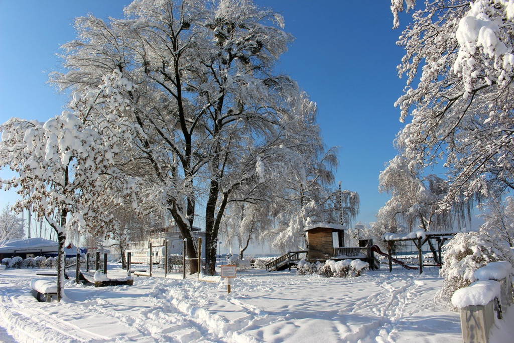Winter IMPRESSIONEN A Sonne 16-01-2021 _18_.JPG