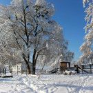 Winter IMPRESSIONEN A Sonne 16-01-2021 _18_.JPG