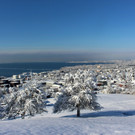 Winter IMPRESSIONEN A Sonne 16-01-2021 _2_.JPG