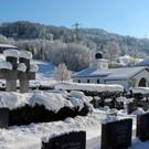 Winter IMPRESSIONEN A Sonne 16-01-2021 _51_.JPG