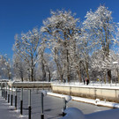 Winter IMPRESSIONEN A Sonne 16-01-2021 _24_.JPG