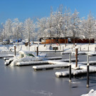 Winter IMPRESSIONEN A Sonne 16-01-2021 _32_.JPG