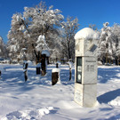 Winter IMPRESSIONEN A Sonne 16-01-2021 _29_.JPG