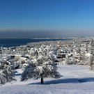 Winter IMPRESSIONEN A Sonne 16-01-2021 _3_.JPG