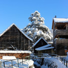 Winter IMPRESSIONEN A Sonne 16-01-2021 _47_.JPG