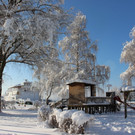 Winter IMPRESSIONEN A Sonne 16-01-2021 _21_.JPG