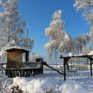 Winter IMPRESSIONEN A Sonne 16-01-2021 _22_.JPG