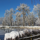 Winter IMPRESSIONEN A Sonne 16-01-2021 _26_.JPG