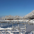 Winter IMPRESSIONEN A Sonne 16-01-2021 _33_.JPG