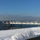 Winter IMPRESSIONEN A Sonne 16-01-2021 _44_.JPG