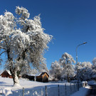 Winter IMPRESSIONEN A Sonne 16-01-2021 _74_.JPG