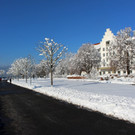 Winter IMPRESSIONEN A Sonne 16-01-2021 _63_.JPG