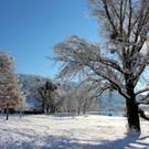 Winter IMPRESSIONEN A Sonne 16-01-2021 _65_.JPG