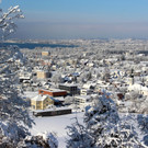 Winter IMPRESSIONEN A Sonne 16-01-2021 _9_.JPG