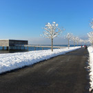 Winter IMPRESSIONEN A Sonne 16-01-2021 _64_.JPG