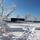 Winter IMPRESSIONEN A Sonne 16-01-2021 _60_.JPG