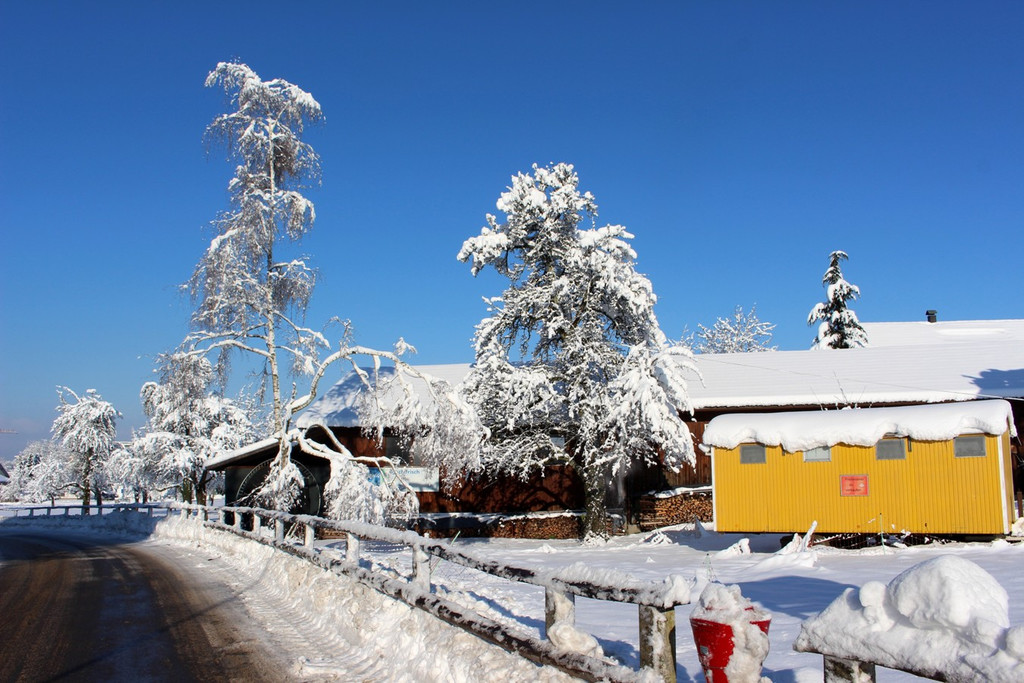 Winter IMPRESSIONEN A Sonne 16-01-2021 _71_.JPG