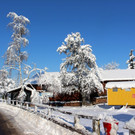 Winter IMPRESSIONEN A Sonne 16-01-2021 _71_.JPG