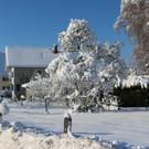 Winter IMPRESSIONEN A Sonne 16-01-2021 _70_.JPG