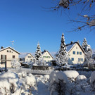 Winter IMPRESSIONEN A Sonne 16-01-2021 _81_.JPG