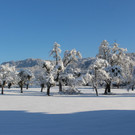 Winter IMPRESSIONEN A Sonne 16-01-2021 _76_.JPG