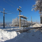 Winter IMPRESSIONEN A Sonne 16-01-2021 _85_.JPG