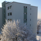 Winter IMPRESSIONEN A Sonne 16-01-2021 _97_.JPG