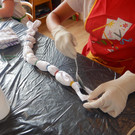 DSCN3616.JPG