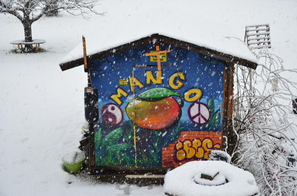Schneefall 150121_1.JPG