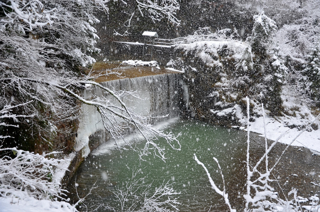 Schneefall 150121_8.JPG