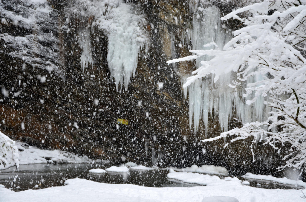 Schneefall 150121_9.JPG