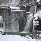 Schneefall 150121_14.JPG