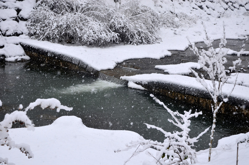 Schneefall 150121_17.JPG