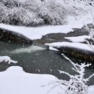 Schneefall 150121_17.JPG