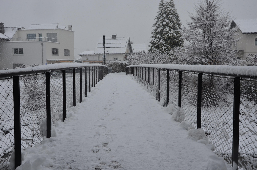 Schneefall 150121_18.JPG