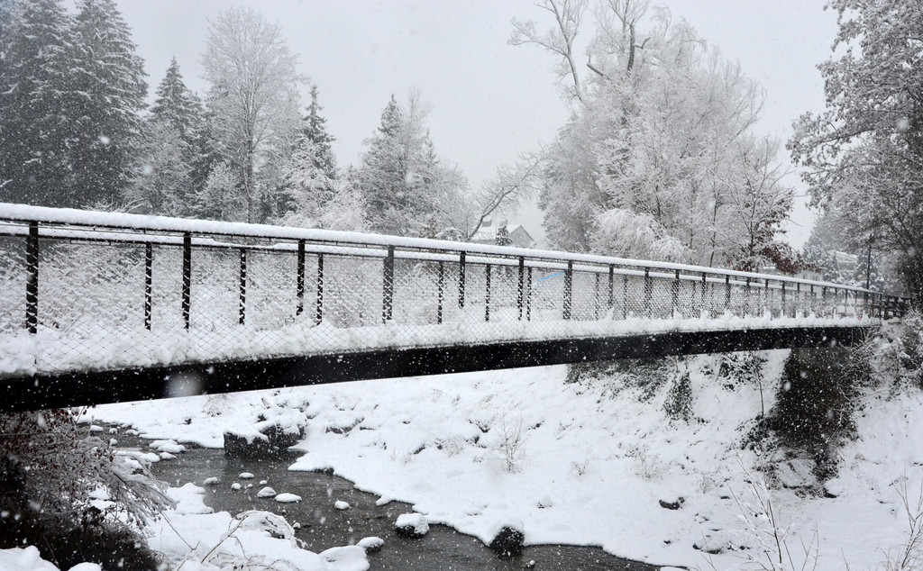 Schneefall 150121_20.JPG