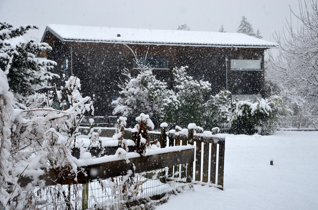 Schneefall 150121_22.JPG