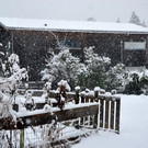 Schneefall 150121_22.JPG