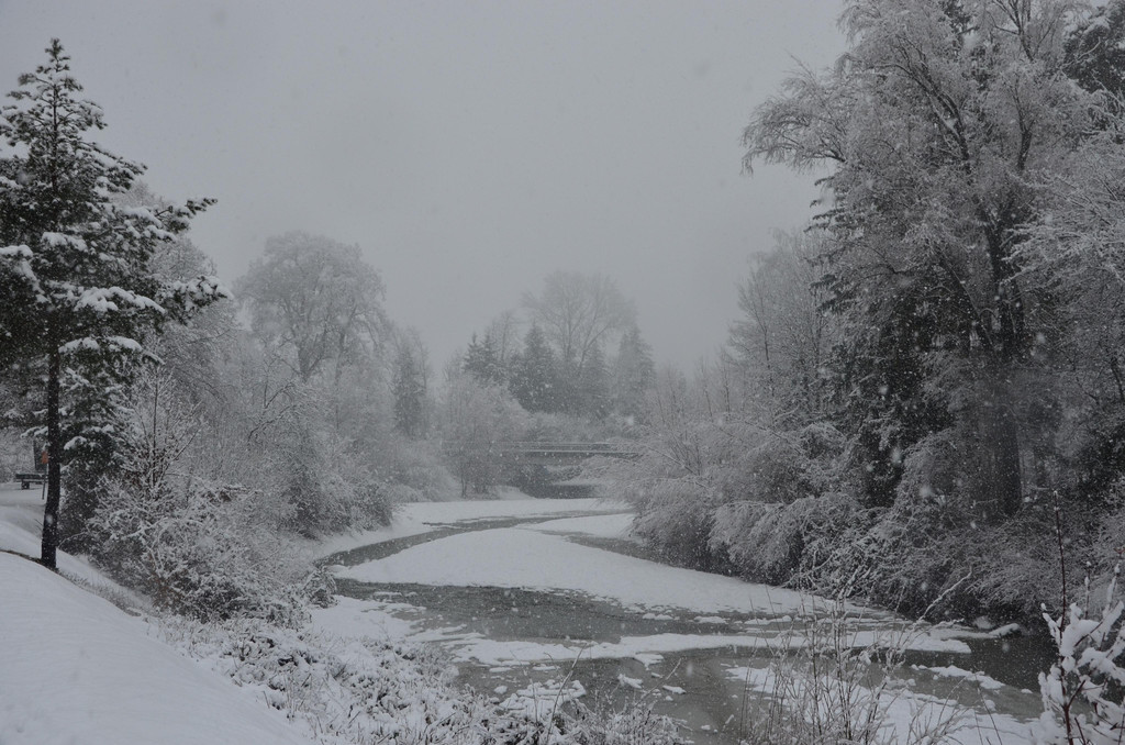 Schneefall 150121_23.JPG