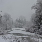 Schneefall 150121_23.JPG