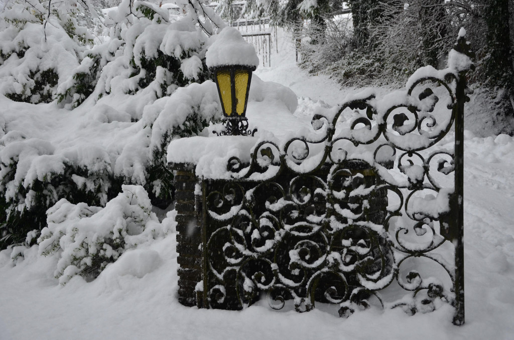 Schneefall 150121_28.JPG