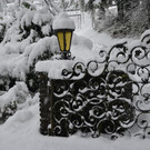 Schneefall 150121_28.JPG