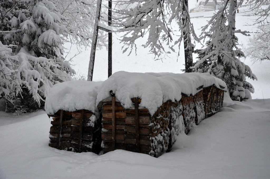 Schneefall 150121_34.JPG