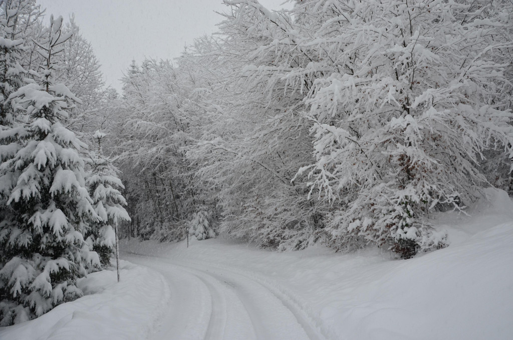 Schneefall 150121_37.JPG
