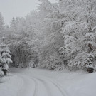 Schneefall 150121_37.JPG