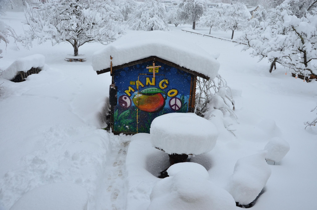 Schneefall 150121_39.JPG