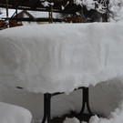 Schneefall 150121_40.JPG