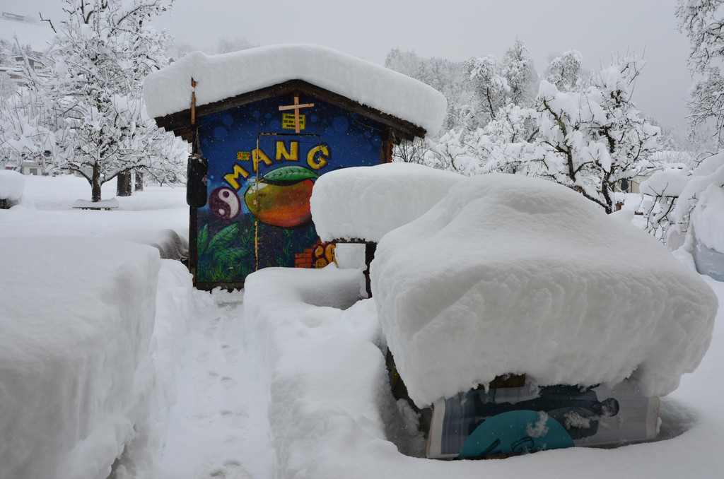 Schneefall 150121_41.JPG