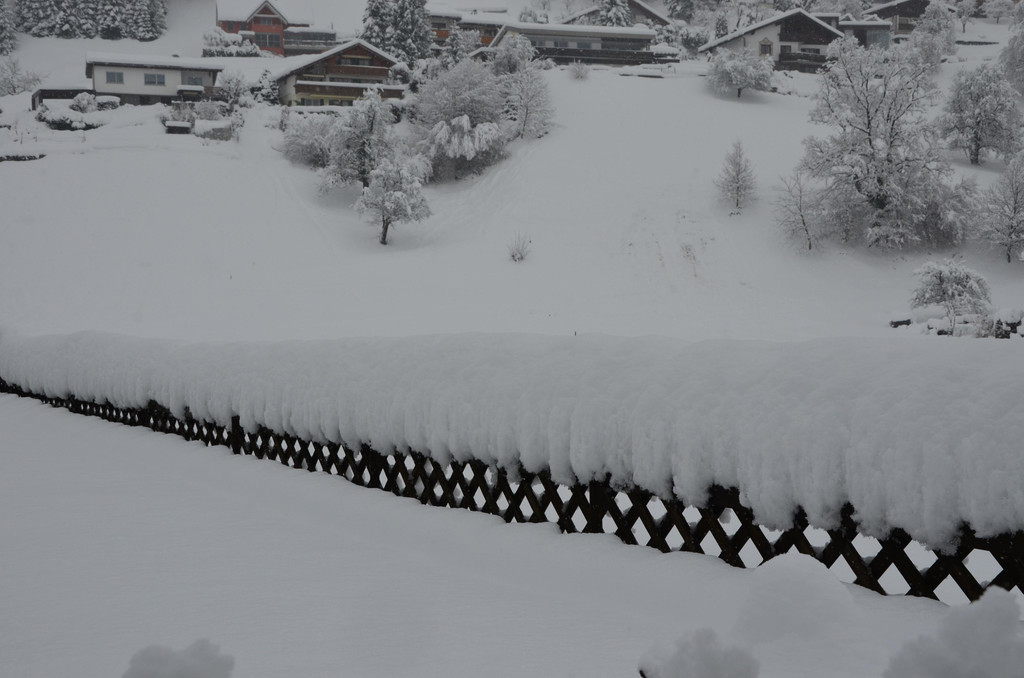 Schneefall 150121_48.JPG