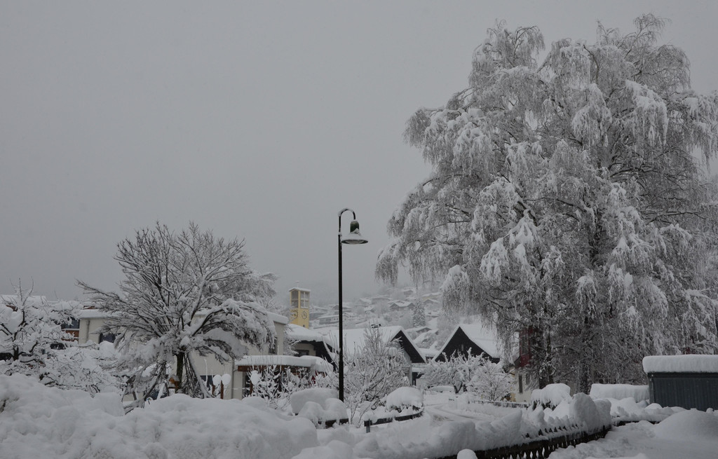 Schneefall 150121_50.JPG